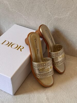 PHOTO-2025-05-13-15-54-19 Dior heels
