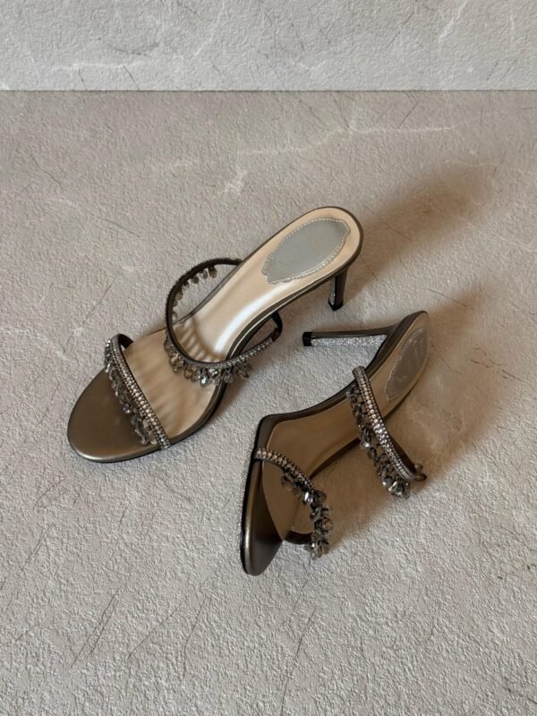 PHOTO-2025-05-23-19-11-57 Rene Caovilla heels