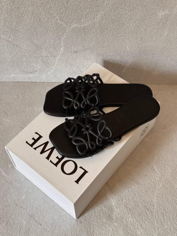 PHOTO-2025-06-20-16-28-21 Loewe flats