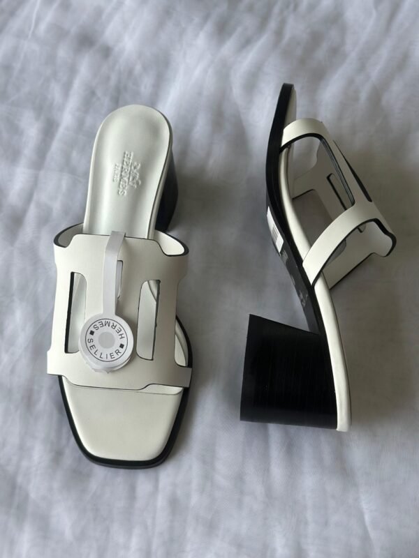 PHOTO-2025-08-19-18-17-42 Hermes Heels
