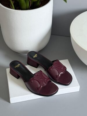 PHOTO-2025-08-25-15-28-56 Celine Heels