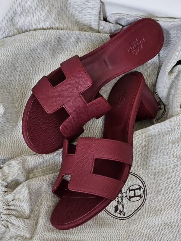 PHOTO-2025-08-26-11-24-54 Hermes Heels